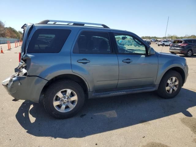 2010 Ford Escape Limited