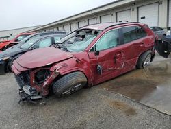 Salvage cars for sale at Louisville, KY auction: 2023 Toyota Rav4 XLE