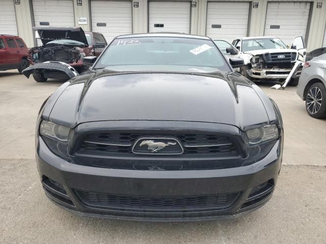 2013 Ford Mustang