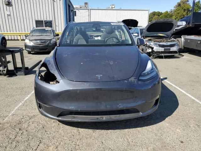 2020 Tesla Model Y