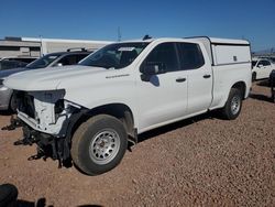 Salvage cars for sale at Phoenix, AZ auction: 2023 Chevrolet Silverado K1500