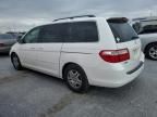 2005 Honda Odyssey EXL