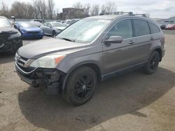 Salvage cars for sale at New Britain, CT auction: 2010 Honda CR-V EXL