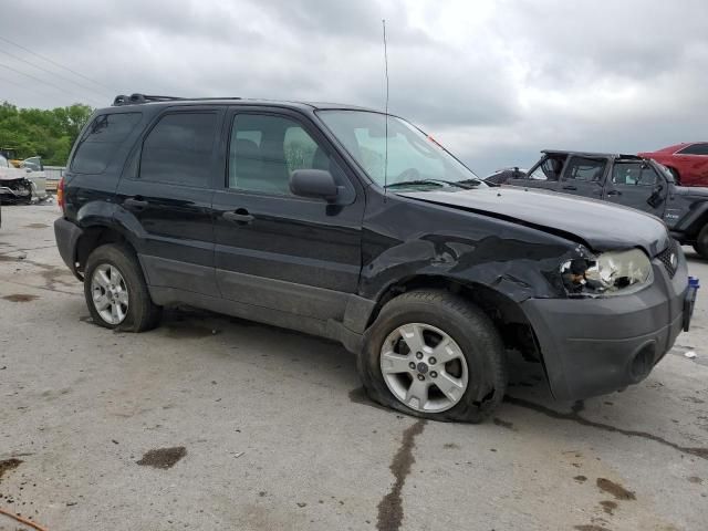 2006 Ford Escape XLT