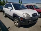 2007 Hyundai Tucson SE