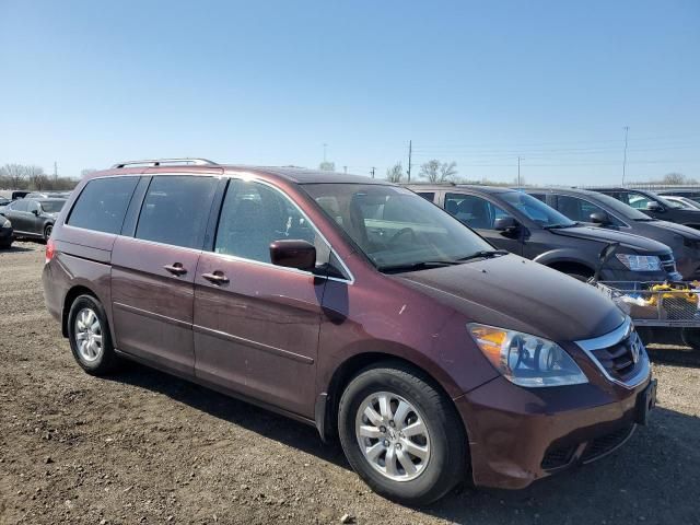 2008 Honda Odyssey EXL