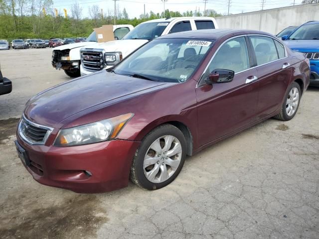 2009 Honda Accord EXL