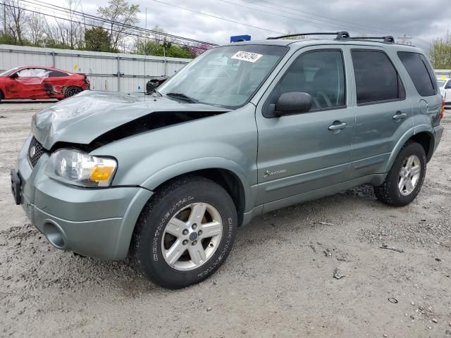 2006 Ford Escape HEV