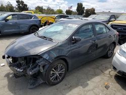 Salvage cars for sale at Martinez, CA auction: 2016 Toyota Corolla L