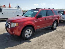 Ford Escape xlt salvage cars for sale: 2008 Ford Escape XLT