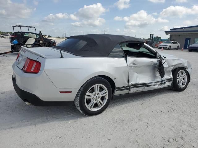 2010 Ford Mustang