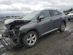 Salvage cars for sale at Eugene, OR auction: 2014 Lexus RX 350 Base