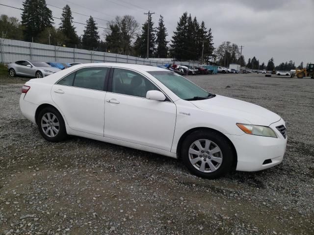 2007 Toyota Camry Hybrid