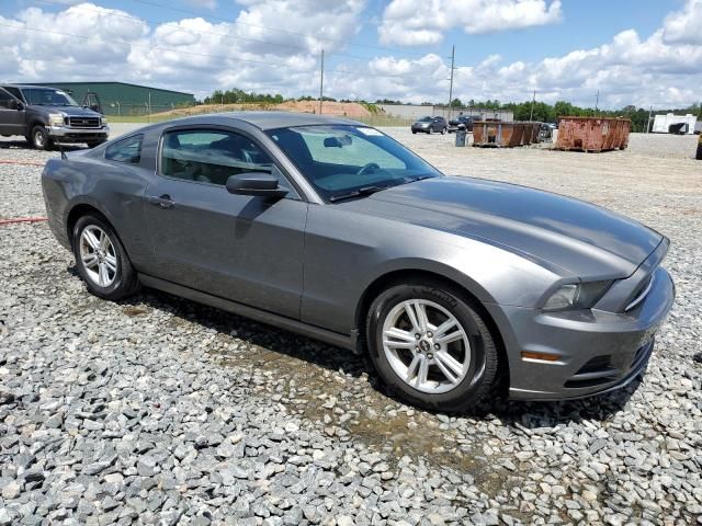 2013 Ford Mustang