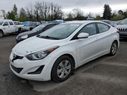 Salvage cars for sale from Copart Portland, OR: 2016 Hyundai Elantra SE