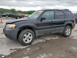 Salvage cars for sale from Copart Lebanon, TN: 2006 Ford Escape XLT