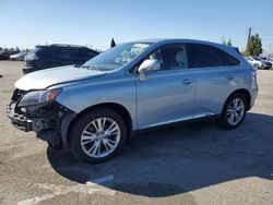 Vehiculos salvage en venta de Copart Rancho Cucamonga, CA: 2011 Lexus RX 450