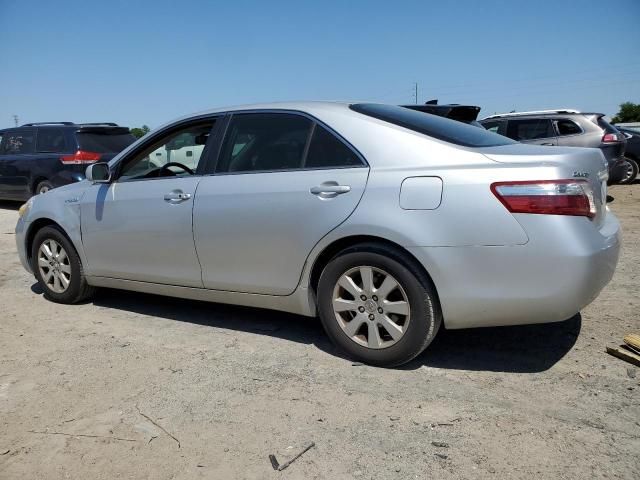 2009 Toyota Camry Hybrid