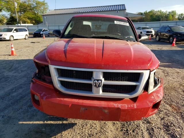 2011 Dodge Dakota SLT