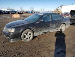 Salvage cars for sale from Copart Rocky View County, AB: 2003 Acura 3.2TL TYPE-S