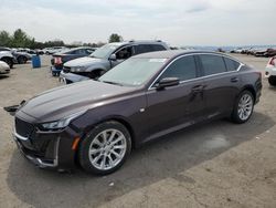 Salvage cars for sale from Copart Pennsburg, PA: 2020 Cadillac CT5 Luxury