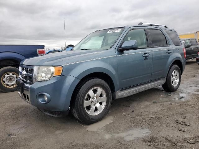 2010 Ford Escape Limited