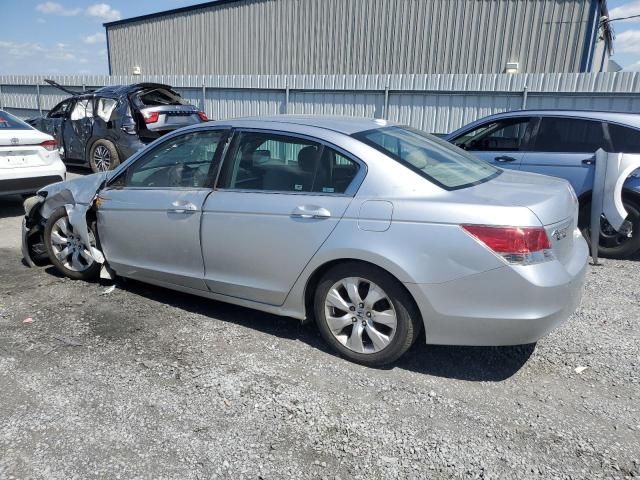 2009 Honda Accord EXL