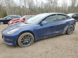Salvage cars for sale from Copart Ontario Auction, ON: 2023 Tesla Model 3