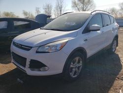 Ford Vehiculos salvage en venta: 2014 Ford Escape SE