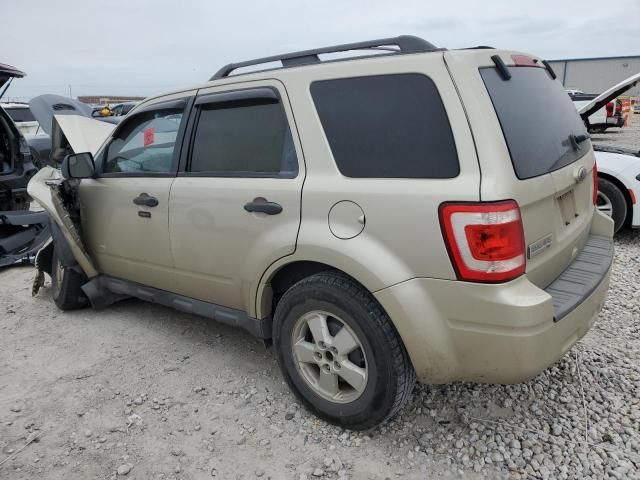 2010 Ford Escape XLT