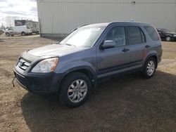 Salvage cars for sale at Rocky View County, AB auction: 2005 Honda CR-V EX