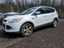 Vehiculos salvage en venta de Copart Bowmanville, ON: 2016 Ford Escape SE