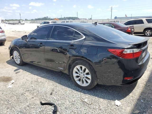 2013 Lexus ES 300H