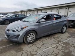 Salvage cars for sale from Copart Louisville, KY: 2016 Hyundai Elantra SE