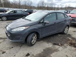 Ford Fiesta SE salvage cars for sale: 2014 Ford Fiesta SE