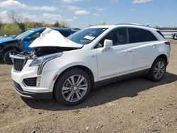 Salvage cars for sale at Columbia Station, OH auction: 2022 Cadillac XT5 Premium Luxury