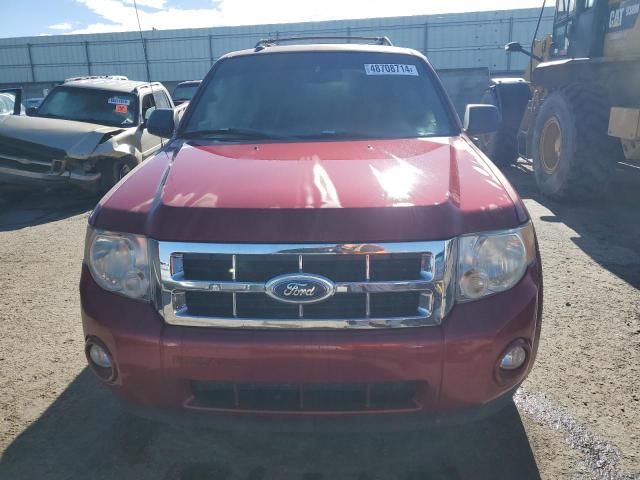 2012 Ford Escape XLT