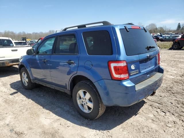 2010 Ford Escape XLT