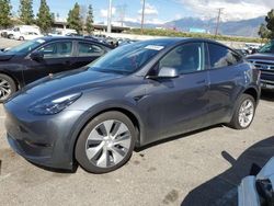 Vehiculos salvage en venta de Copart Rancho Cucamonga, CA: 2023 Tesla Model Y