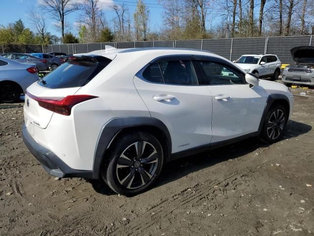 2020 Lexus UX 250H