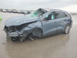 Salvage cars for sale at auction: 2024 Ford Escape Active