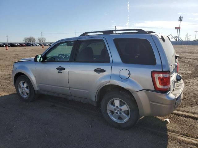 2010 Ford Escape XLT