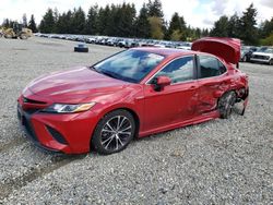 Salvage cars for sale at Graham, WA auction: 2019 Toyota Camry Hybrid