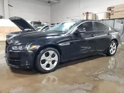 Salvage cars for sale from Copart Elgin, IL: 2017 Jaguar XE