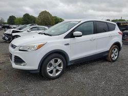 Salvage cars for sale from Copart Mocksville, NC: 2016 Ford Escape SE