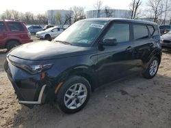 Salvage cars for sale at Central Square, NY auction: 2023 KIA Soul LX
