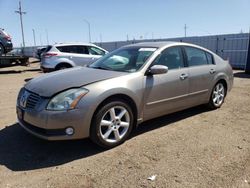 Salvage cars for sale at Greenwood, NE auction: 2004 Nissan Maxima SE