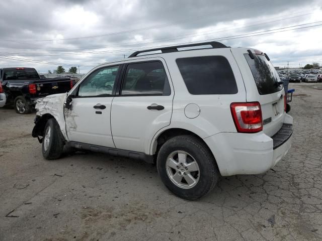 2009 Ford Escape XLT