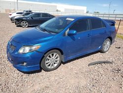 Salvage cars for sale at Phoenix, AZ auction: 2009 Toyota Corolla Base