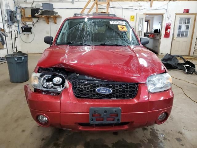 2005 Ford Escape Limited